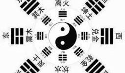 新疆最新八卦爆料,揭秘神秘事件背后的真相！